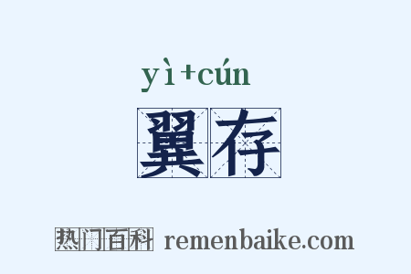 翼存是什么意思的图片